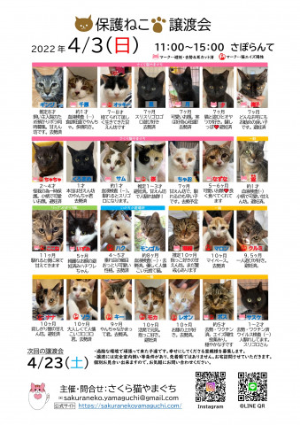 保護ねこ譲渡会inさぽらんて