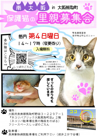 南大阪⭐️保護猫の里親募集会　in 大阪熊取町