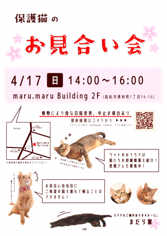 保護猫お見合い会