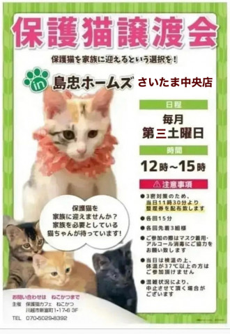 ねこかつ保護猫譲渡会@さいたま中央