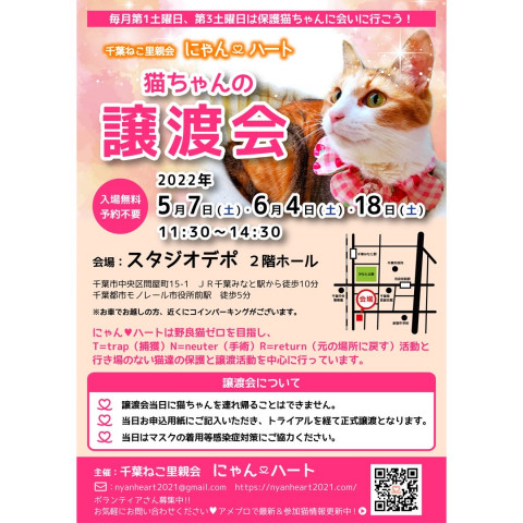 千葉ねこ里親会　にゃんハート主催　保護猫譲渡会