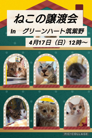 4月17日★いぬねこ譲渡会　inグリーンハート筑紫野