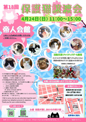 第１８回保護猫譲渡会in山口県　岩国