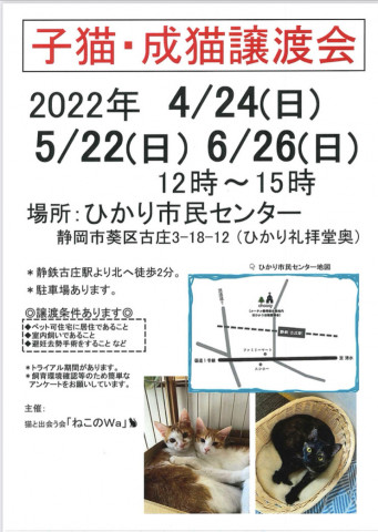 ねこのWa猫譲渡会　静岡市葵区