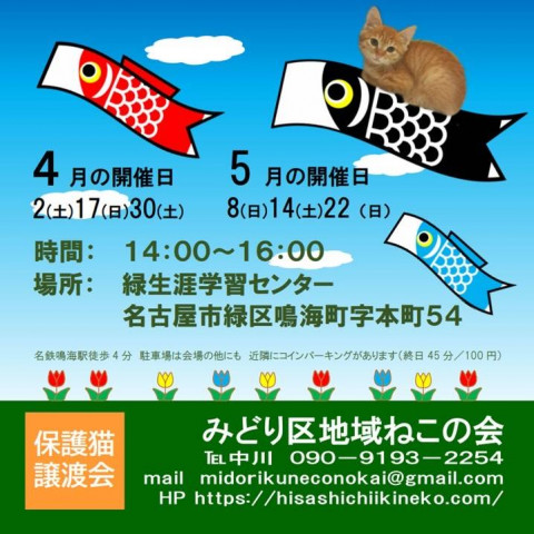 名古屋市緑区猫の譲渡会