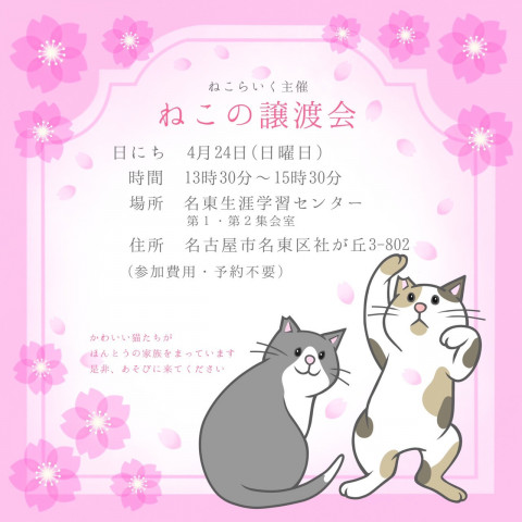 ねこの譲渡会／名東生涯学習センター