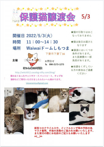 保護猫譲渡会　waiwaiドームしもつま