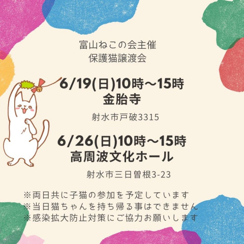 保護ねこ譲渡会(子猫９匹参加予定)