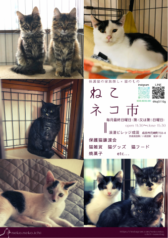 ねこネコ市🐈