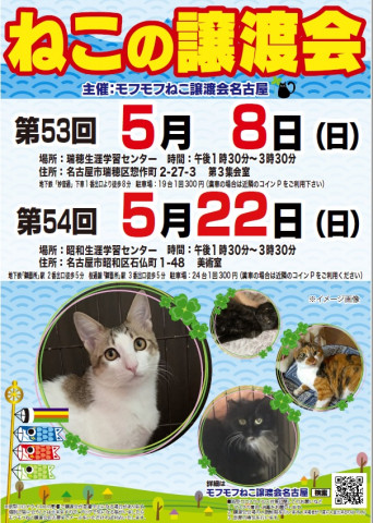 猫の譲渡会　in　名古屋市瑞穂生涯学習センター