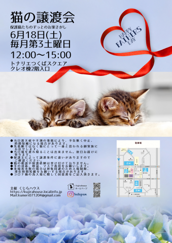 猫の譲渡会