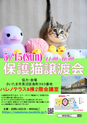 【さいたま市】5/15（日）ハレノテラス保護猫譲渡会