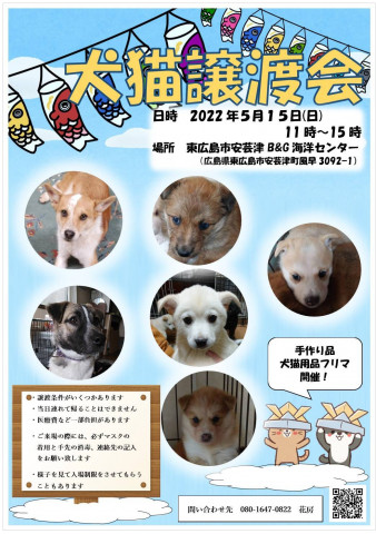 犬猫譲渡会