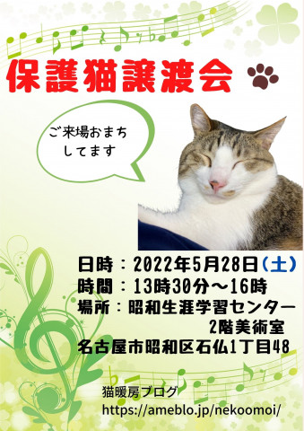 保護猫譲渡会