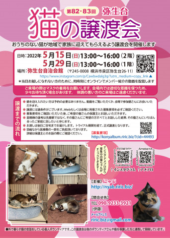 弥生台　猫の譲渡会