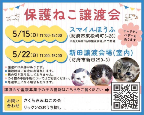 保護猫譲渡会