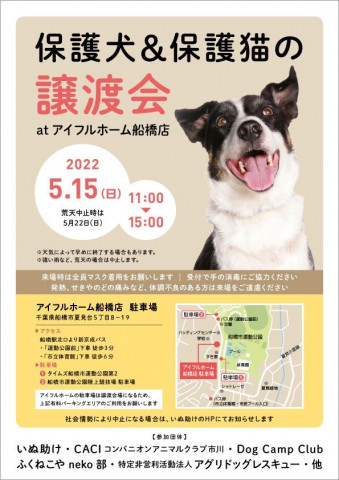 千葉県船橋市開催/ アイフルホーム犬・猫合同里親会