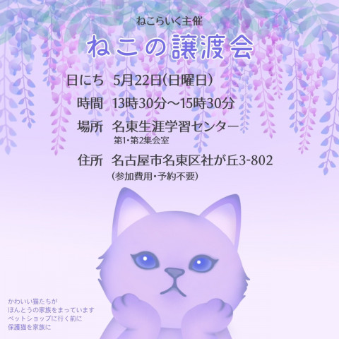 ねこの譲渡会／名東生涯学習センター