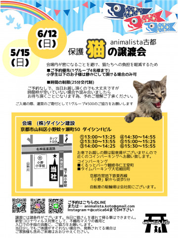 animalista古都　保護猫の譲渡会