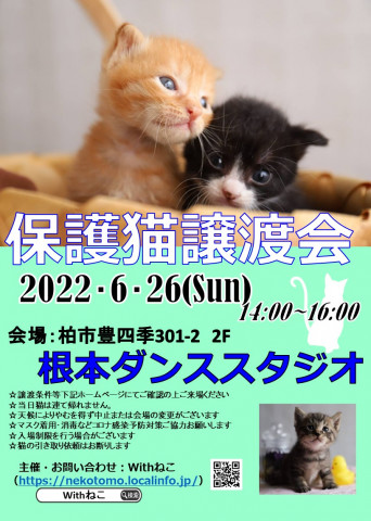 【柏市】6/26（日）根本ダンススタジオ保護猫譲渡会