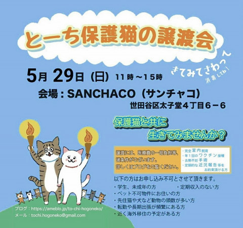 とーち保護猫の譲渡会