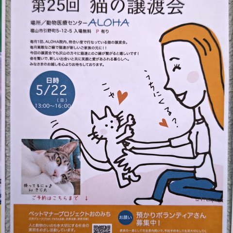 保護猫譲渡会