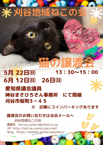 刈谷地域ねこの会　譲渡会