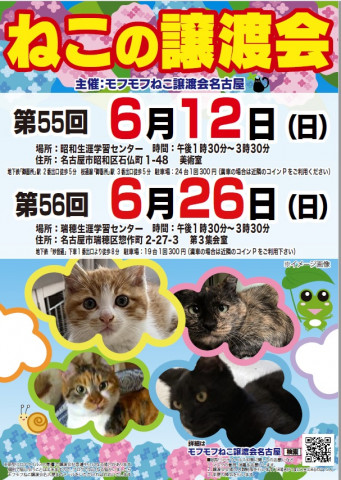 猫の譲渡会　in　名古屋市昭和生涯学習センター