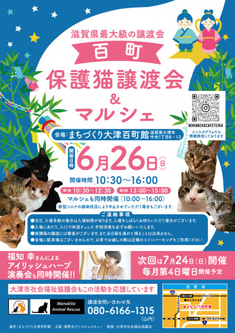 百町保護猫譲渡会＆マルシェ