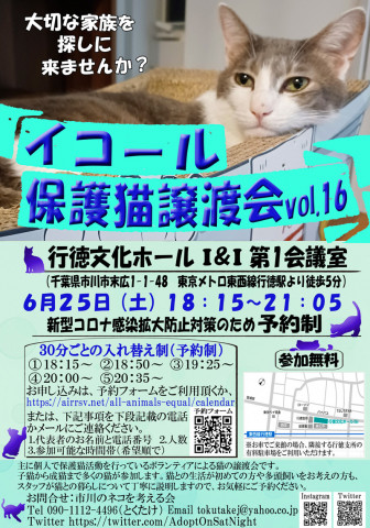【千葉県市川市】イコール保護猫譲渡会vol.16