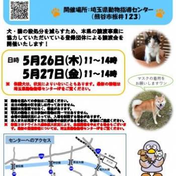 キーワードが 埼玉県動物指導センター 本所 048 536 2465 ネコジルシ