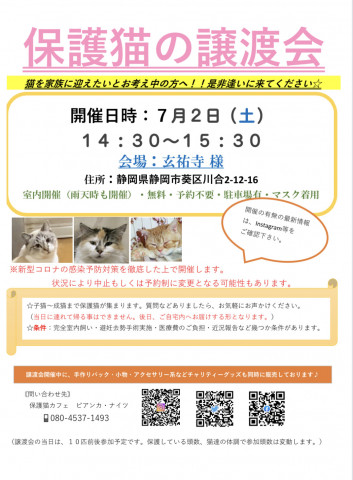 保護猫の譲渡会