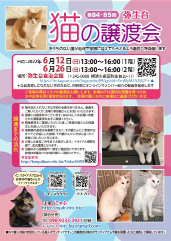 弥生台　猫の譲渡会