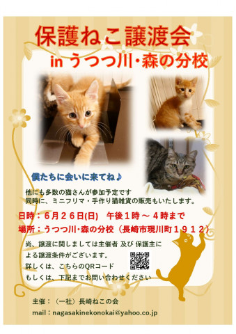 保護ねこ譲渡会 inうつつ川･森の分校