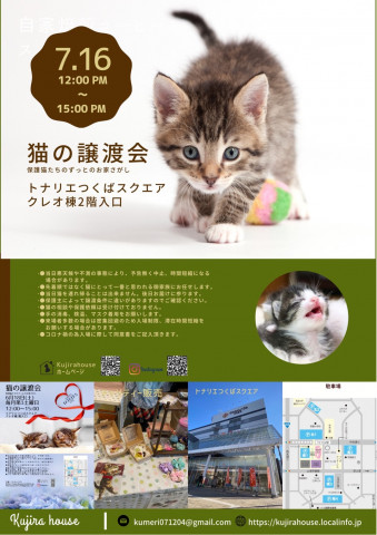 猫の譲渡会