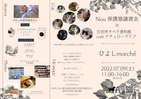 ひよしmarché（鹿児島Noa保護猫譲渡会）