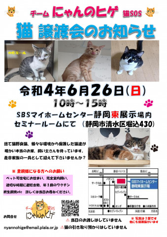 保護ニャンコの譲渡会ｂｙ静岡市清水区