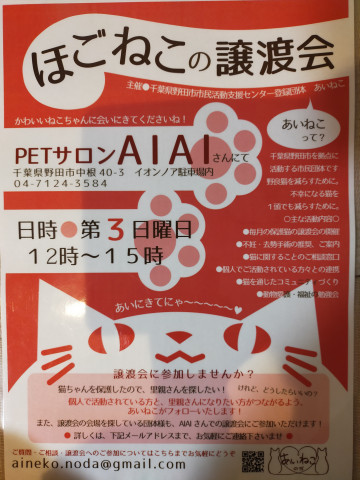 野田市保護猫の譲渡会