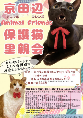 京田辺animalfriends里親会