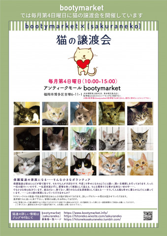 Bootymarket × [sakuraneko] 猫の譲渡会