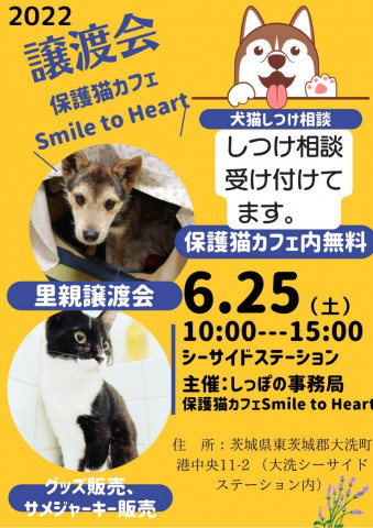 犬と猫の譲渡会