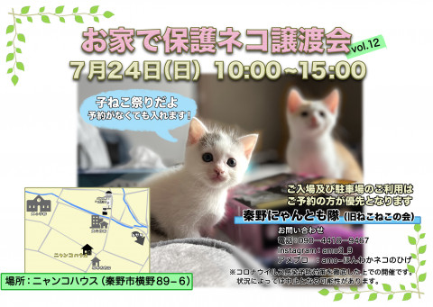 お家で保護猫譲渡会