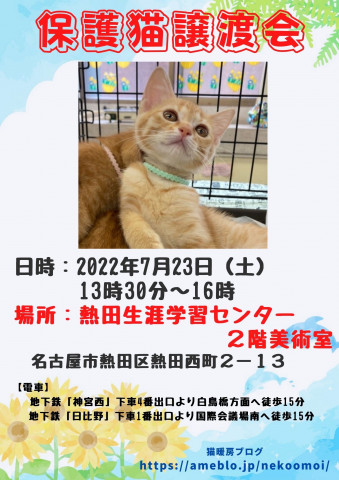 保護猫譲渡会