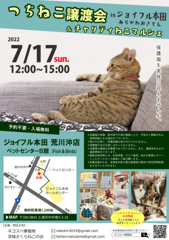 つちねこ譲渡会