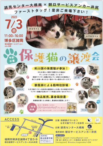 猫のためのコラボ譲渡会🌟