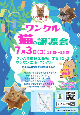 とらちゃん本舗　譲渡会inさいたま市