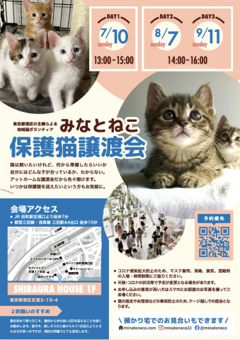 みなとねこ保護猫譲渡会 in 芝浦