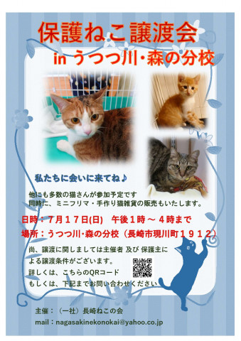 保護ねこ譲渡会 inうつつ川･森の分校