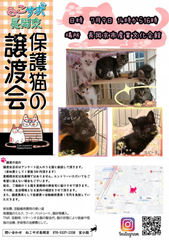 保護猫の譲渡会　長岡京市