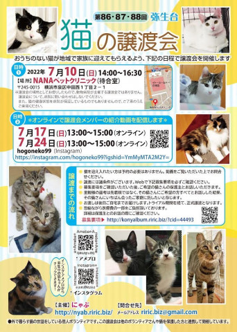 猫の譲渡会